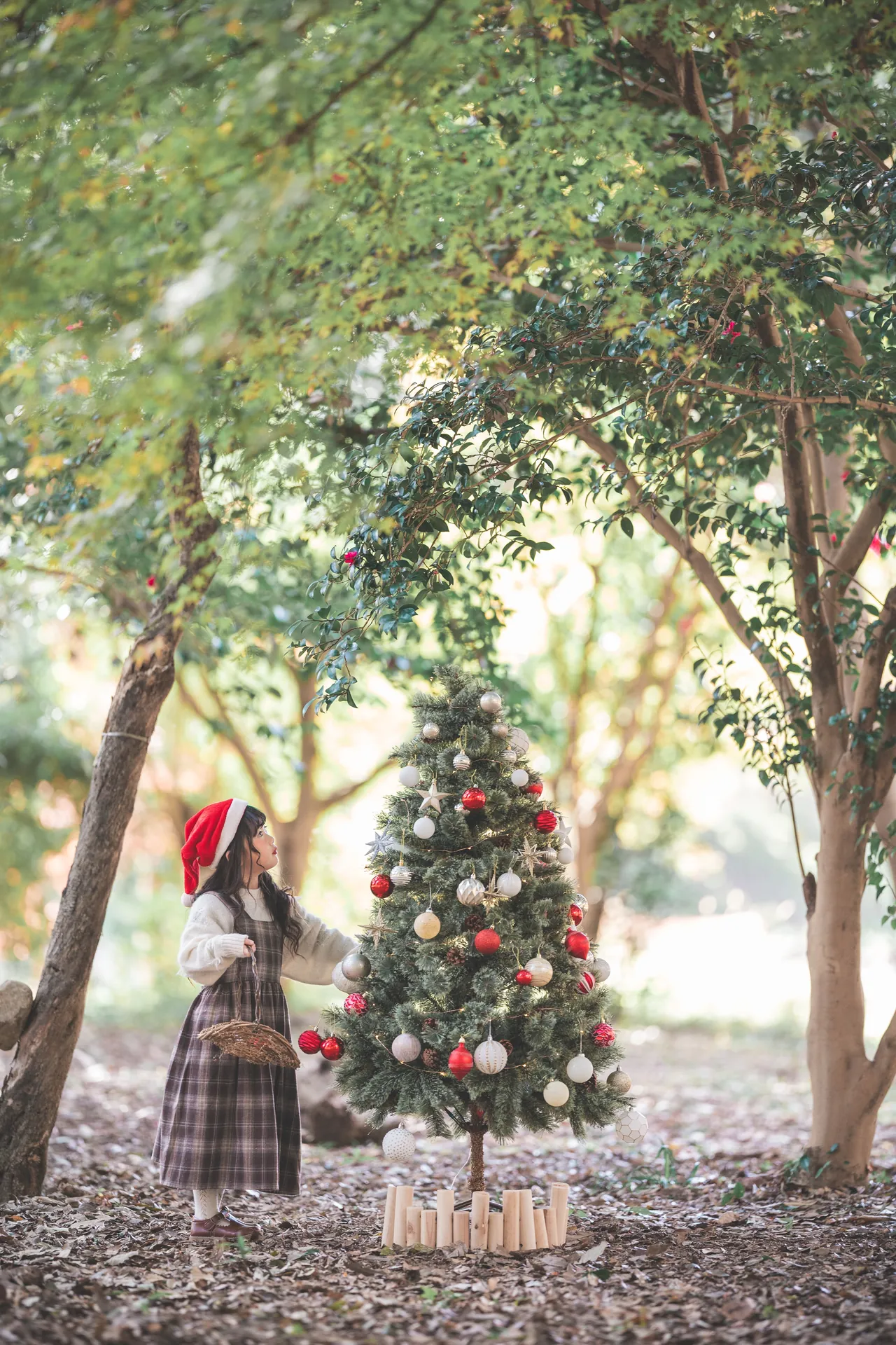 森の中のクリスマスツリーのそばに立つ女の子の写真