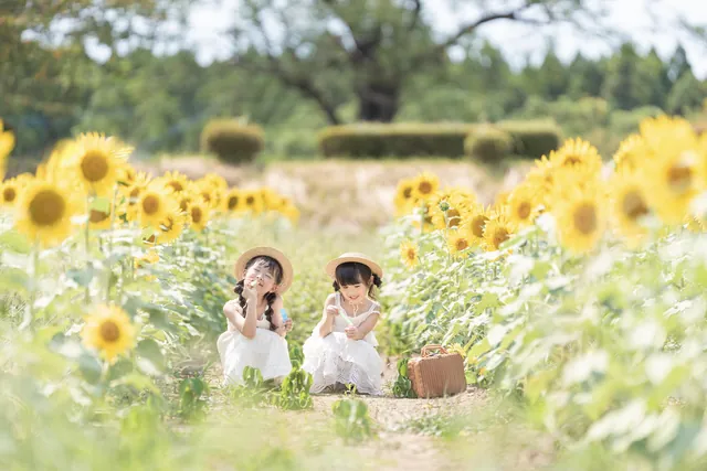 ひまわり畑の中で、麦わら帽子の二人が座っている写真