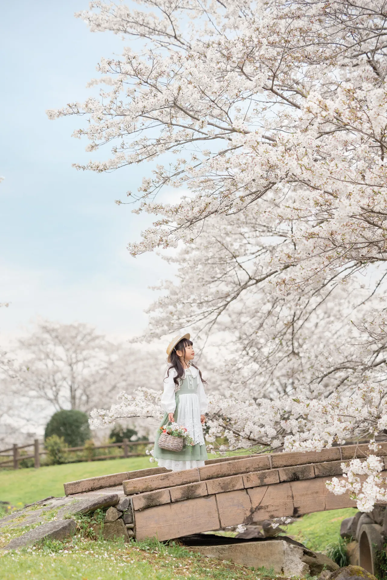 桜の木の下に立つ子どもの写真